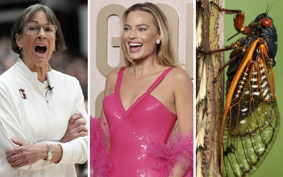 From a winningest coach to a losingest Oscar hopeful — it’s the weekly news quiz