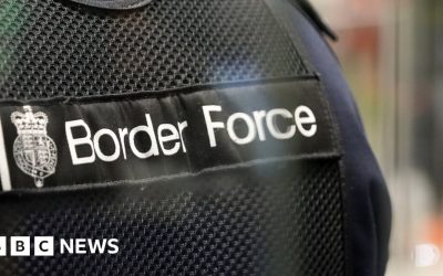 Immigration watchdog sacked after critical news stories